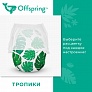 Offspring - M 6-11  42   -  3