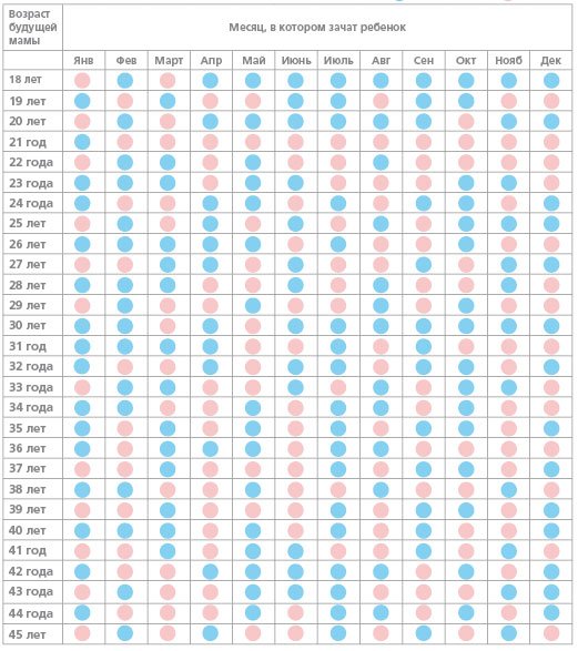 Пол Ребенка По Неделям Фото
