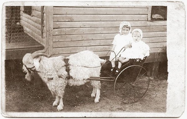 Детская коляска - 200-летняя метаморфоза. Часть I. Прообразы современной коляски: тачки, тележки, детские экипажи и кареты