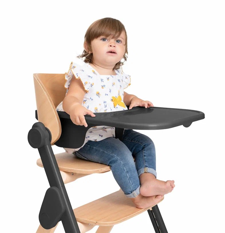 Chicco стульчик 0+ для кормления растущий Meraviglia Ebony - фото  16