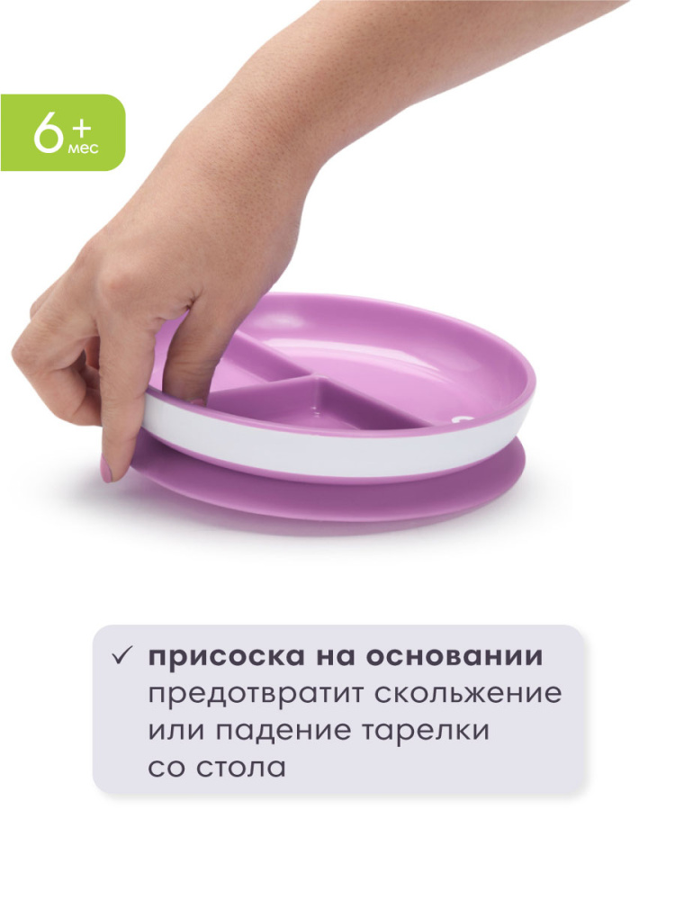 Munchkin тарелка детская на присоске секционная Stay Put™с 6 мес., сиреневый - фото  4