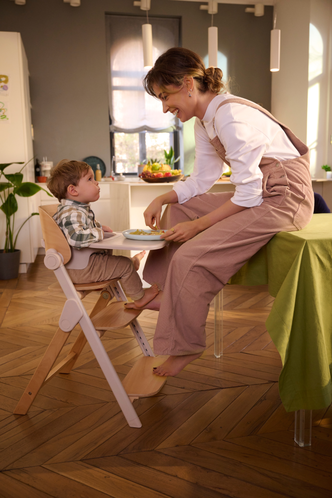 Chicco стульчик 0+ для кормления растущий Meraviglia Fossil - фото  7