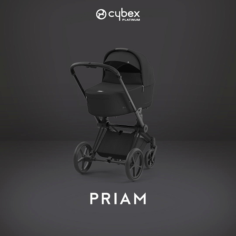 Cybex Priam IV Коляска 2 в 1 Matt Black / Sephia Black - фото  4