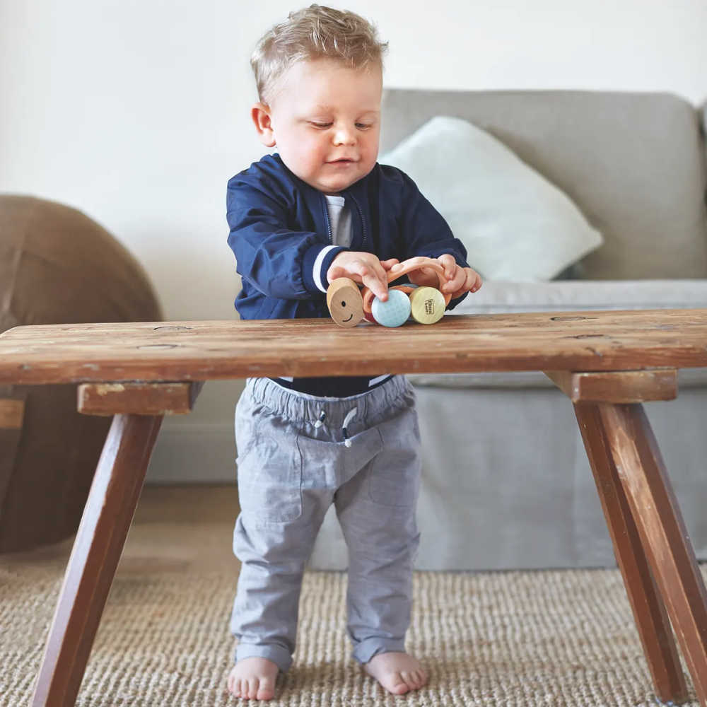 Hape каталка Черепашка Турбо - фото  4