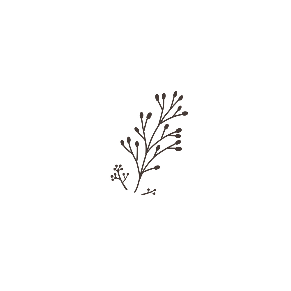 OLANT BABY     5  Winter thymes