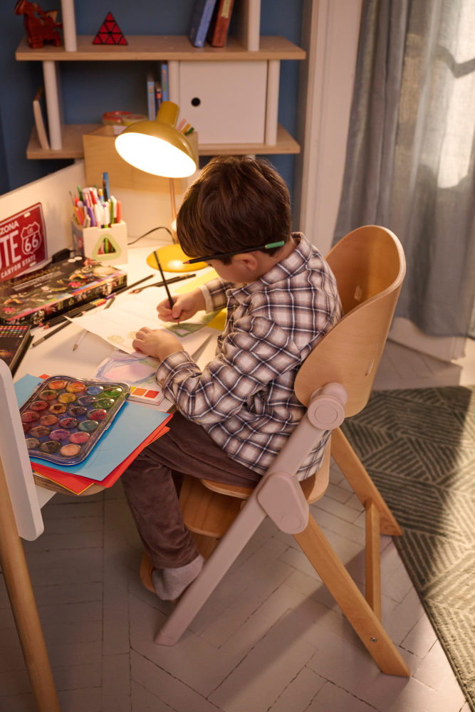 Chicco стульчик 0+ для кормления растущий Meraviglia Fossil - фото  6