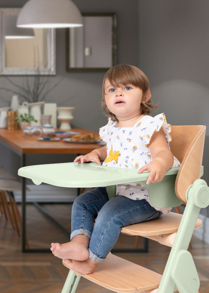 Chicco стульчик 0+ для кормления растущий Meraviglia Olive - фото  2