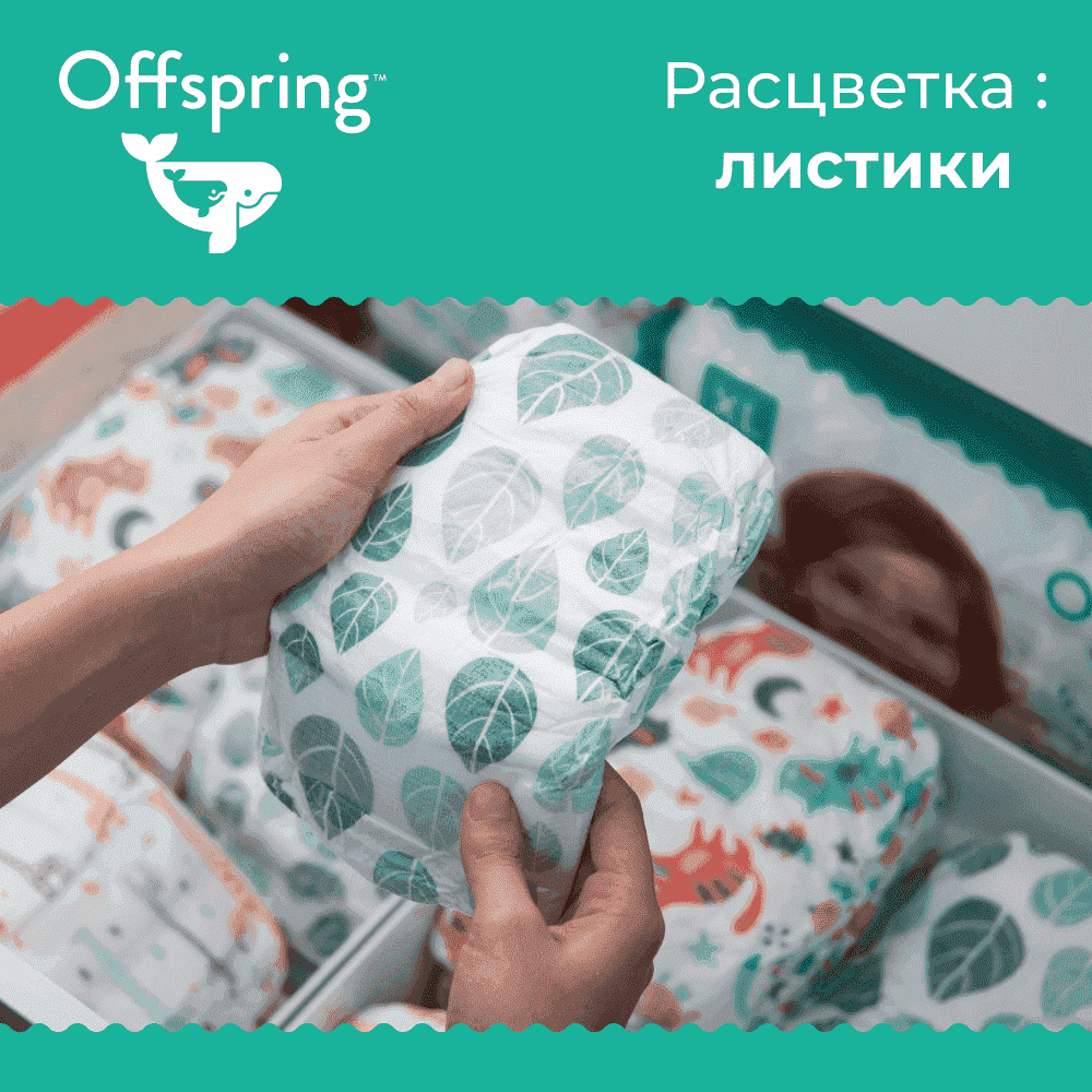 Offspring  S 3-6  48   -   4