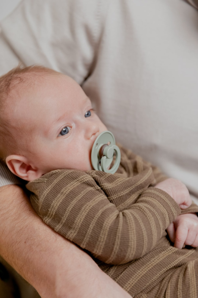 BIBS набор пустышек 0+ Try-it 4 штуки, Sage - фото  3