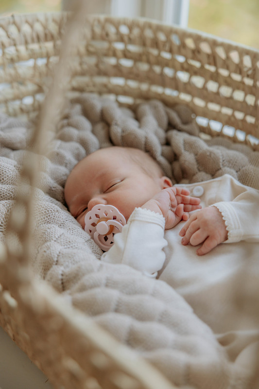 BIBS соска-пустышка Boheme Latex Blossom - фото  3