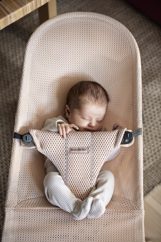 babybjorn bliss mesh