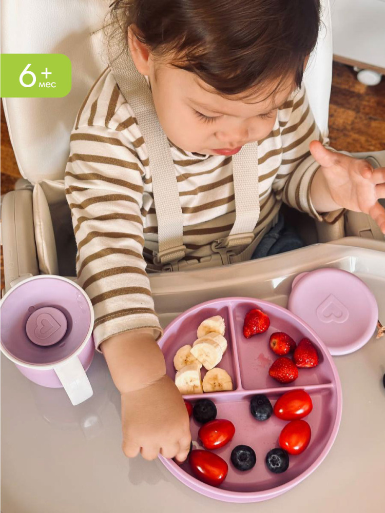 Munchkin тарелка детская на присоске секционная Stay Put™с 6 мес., сиреневый - фото  7