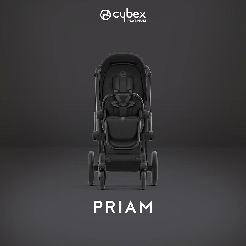 Cybex Priam IV Коляска 2 в 1 Matt Black / Sephia Black - фото  5