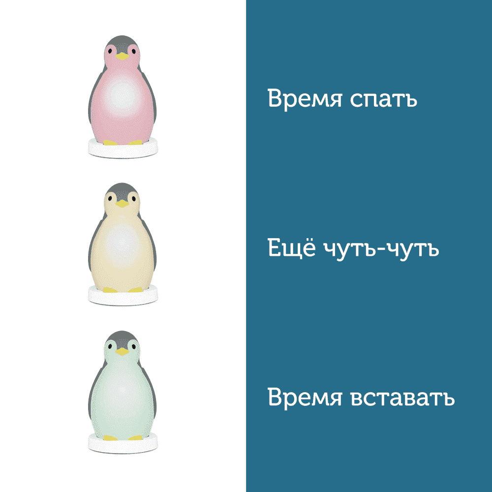 Zazu ++    