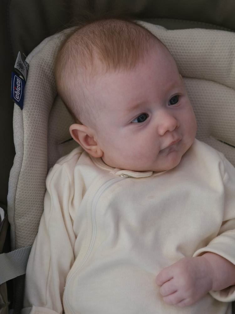 OLANT BABY комбинезон Nature на молнии - фото  8