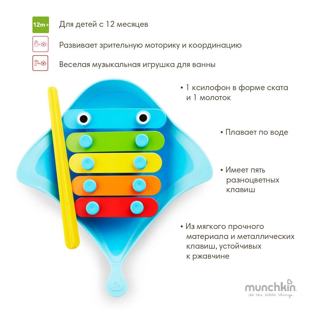 Munchkin      Dingray  -   3