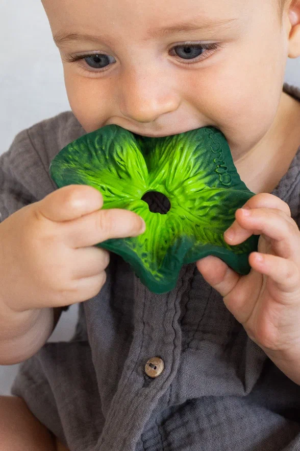 Oli&Carol игрушка-прорезыватель с комфортером Mini DouDou Kendall the Kale - фото  2