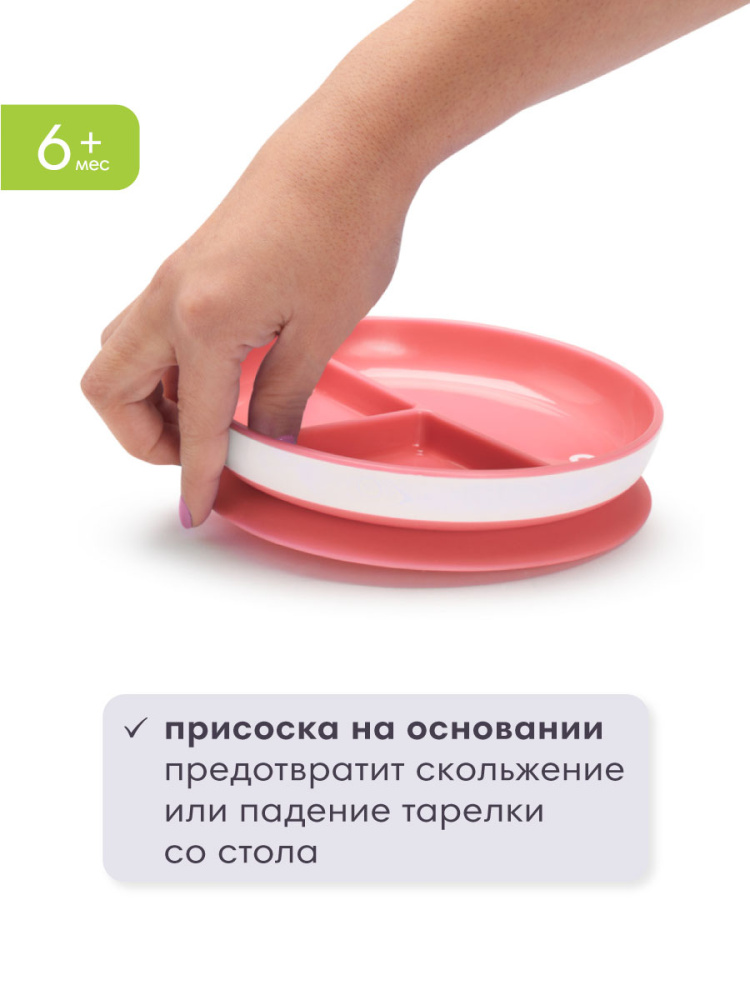 Munchkin тарелка детская на присоске секционная Stay Put™с 6 мес., розовая - фото  4