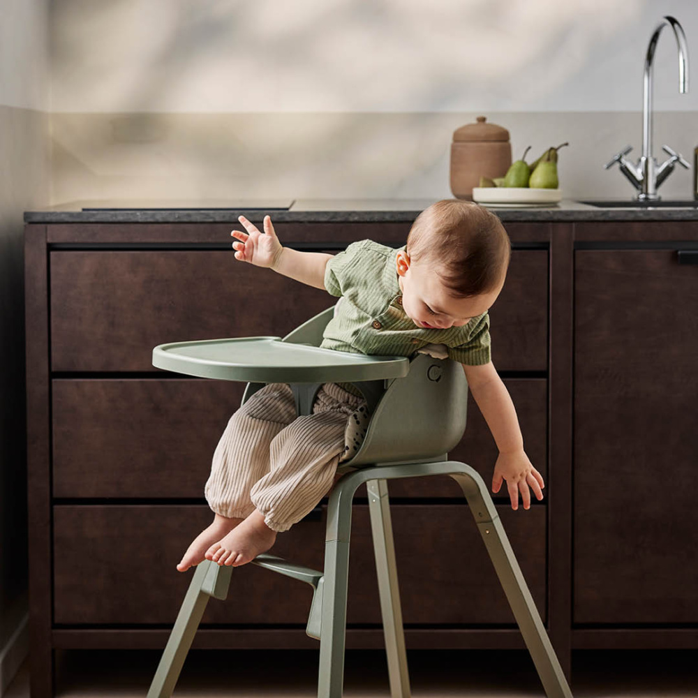 Elodie Grace стульчик + сиденье для новорожденного Hazy Jade+ вкладыш Mineral Green - фото  13