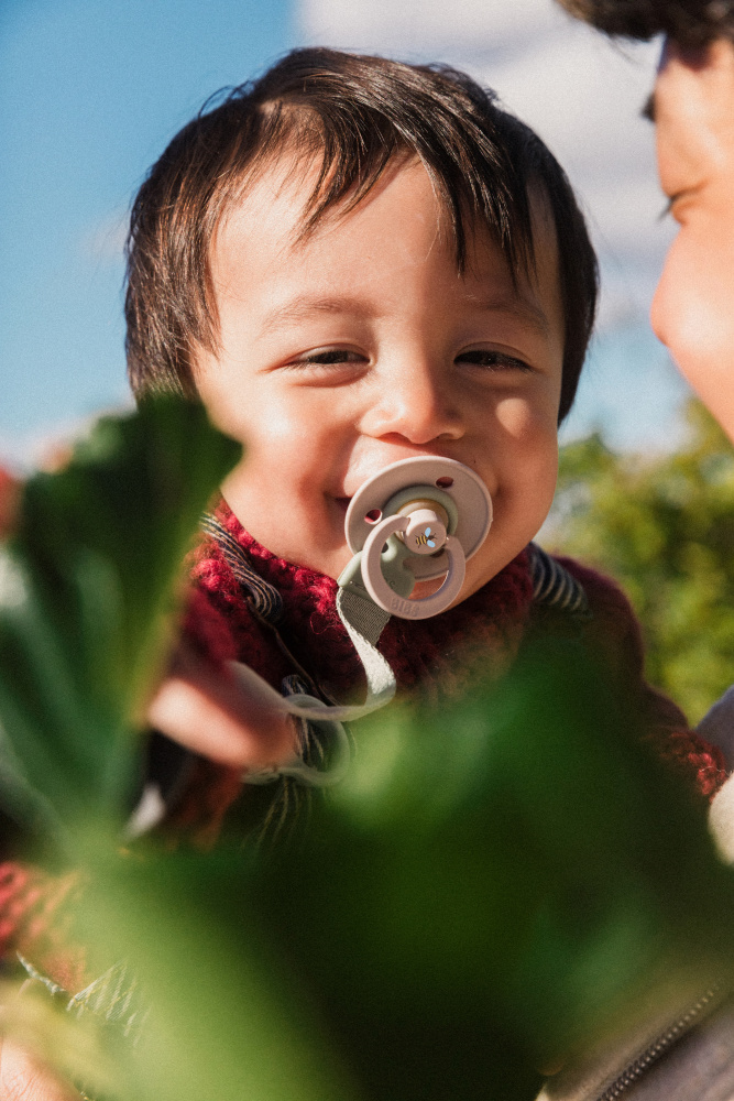 BIBS соска-пустышка латексная Colour Mushroom - фото  3