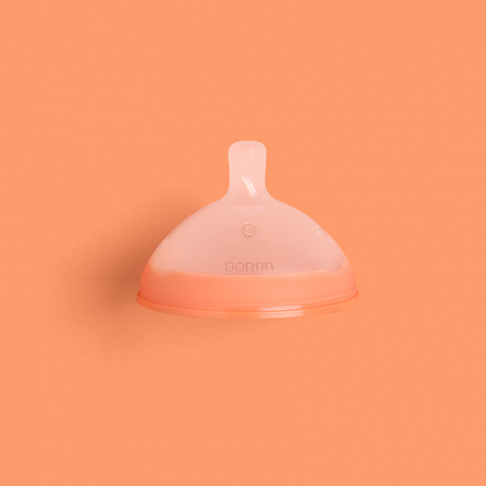 BORRN      3 +  
