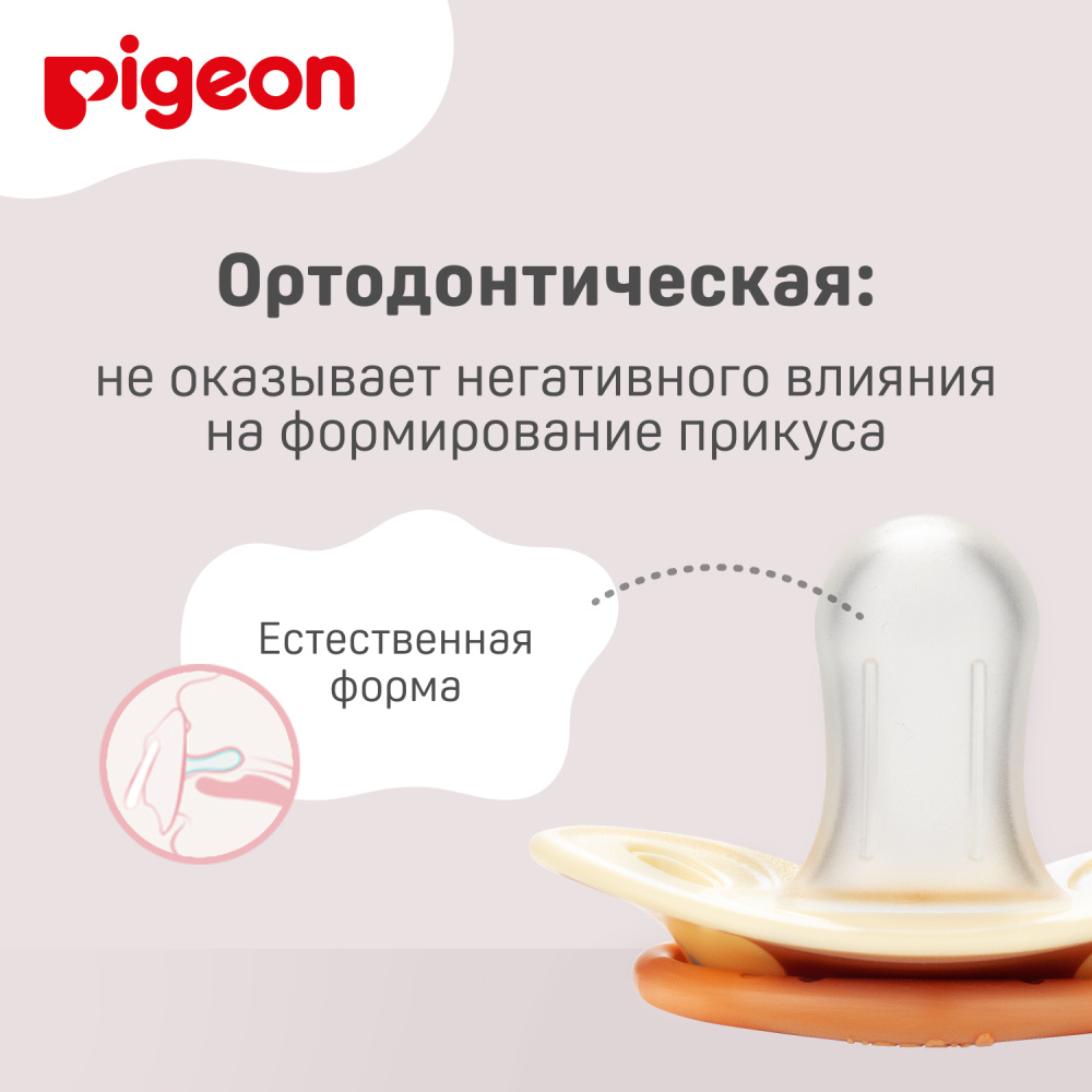 Pigeon FunFriends пустышка &quot;Мишка&quot; 3+ мес. - фото  7