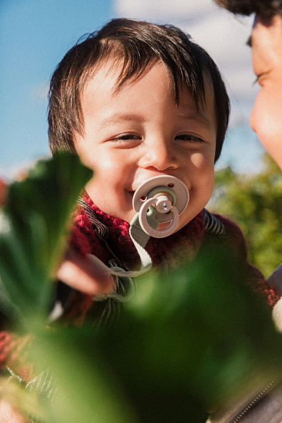 BIBS соска-пустышка латексная Colour Mushroom - фото  3