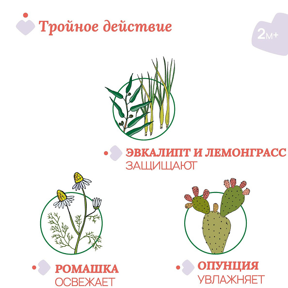 Chicco спрей для защиты от комаров 2 месяца+ с эвкалиптом и лемонграссом Naturalz, 100 мл - фото  4