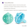 Munchkin пустышка-прорезыватель 0+ WildLove Koala, голубая/мятная 2 шт. - фото 2