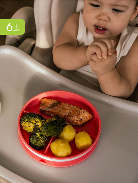 Munchkin тарелка детская на присоске секционная Stay Put™с 6 мес., розовая - фото  10