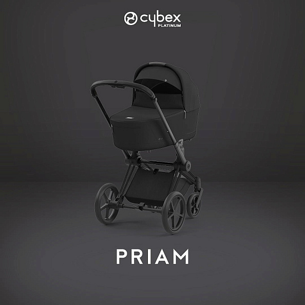 Cybex Priam IV Коляска 2 в 1 Matt Black / Sephia Black - фото  4