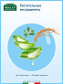 Helan Bollicine        1
