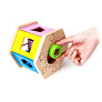 Hape      