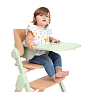 Chicco стульчик 0+ для кормления растущий Meraviglia Olive - фото 20