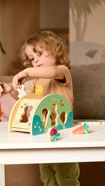 Chicco деревянные игрушки набор развивающий Заячий холм - фото  6