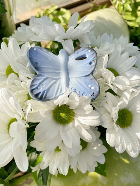 Oli&Carol    Blues the Butterfly ()