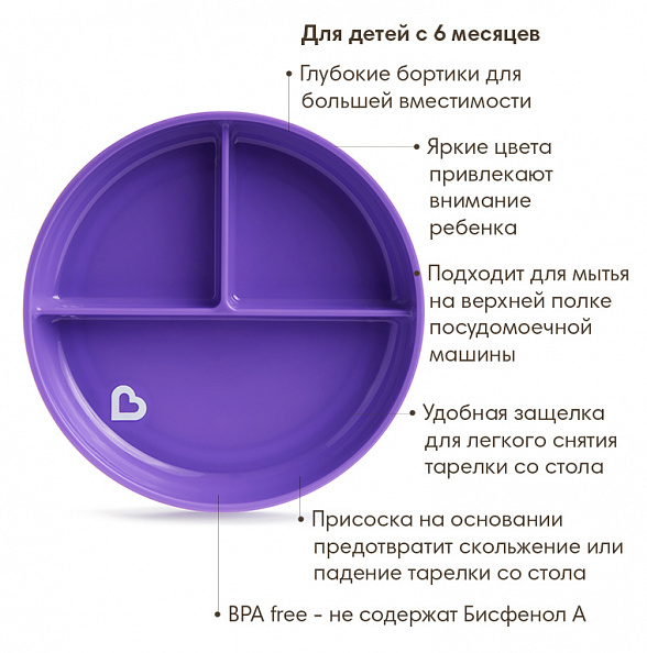 Munchkin тарелка детская на присоске секционная Stay Put™с 6 мес., фиолетовый - фото  3