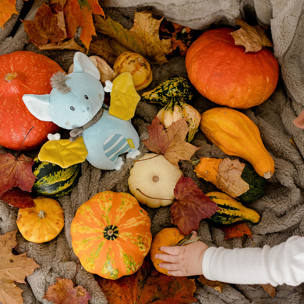 FEHN игрушка-подвеска музыкальная Летучая Мышь - фото  6