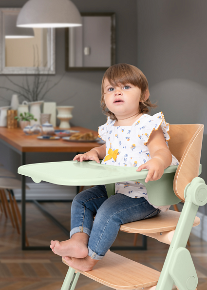 Chicco стульчик 0+ для кормления растущий Meraviglia Olive - фото  2