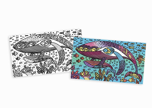 Janod набор для творчества Волшебный океан, рисуем водой - фото  1