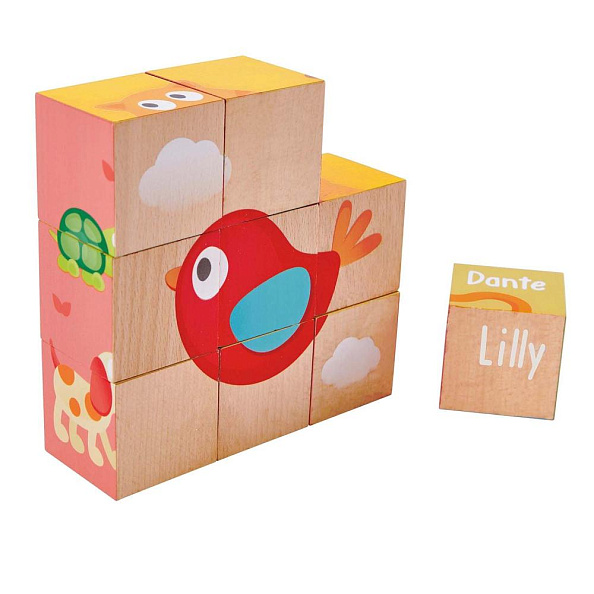 Hape   9 