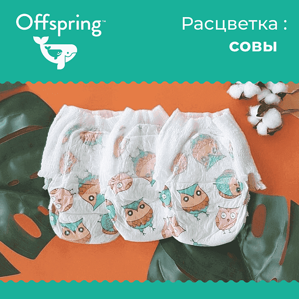 Offspring - XL 12-20  30  