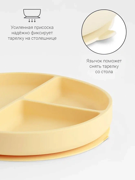 Edda тарелка на присоске секционная Мимоза - фото  6