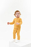 Leoking (  )
