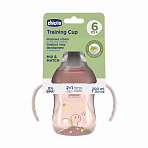 Chicco поильник 6 месяцев+ Training Cup 200 мл розовый