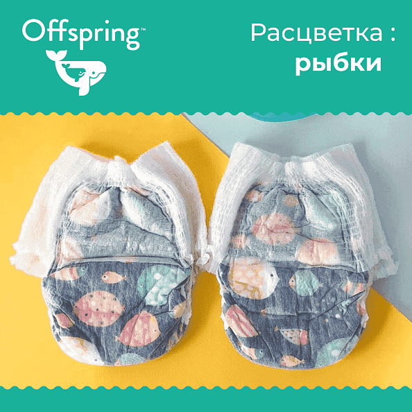 Offspring - XXL 15-23  24  