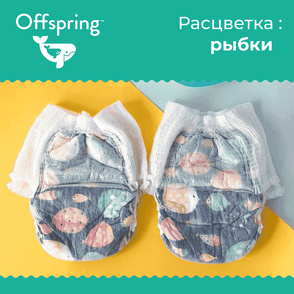 Offspring - XXL 15-23  24   -   4