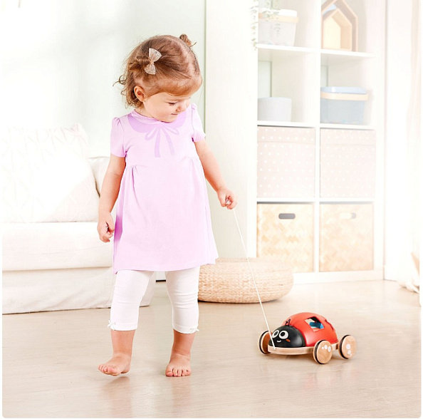 Hape каталка - сортер Божья коровка - фото  4