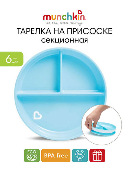 Munchkin тарелка детская на присоске секционная Stay Put™с 6 мес., голубая - фото  3