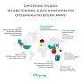 Offspring -, XL 12-20   30     